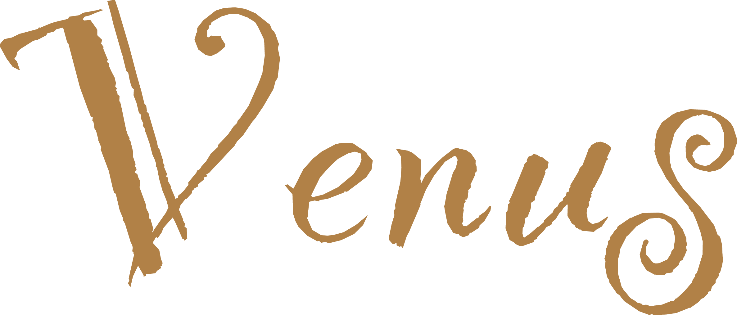 hairsalon_Venus